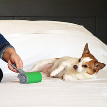 Load image into Gallery viewer, Original Go! Sticky